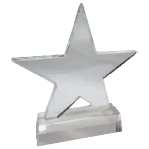 Crystal Star Award