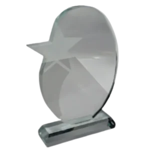 Oval Star Glass Award