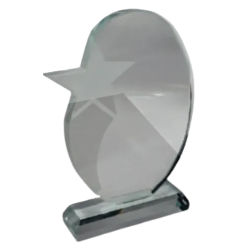 Oval Star Glass Award