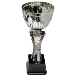 Silver Metal Holder Cup