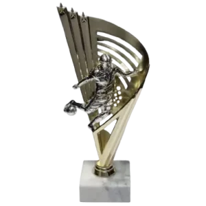 Soccer Goal Cup