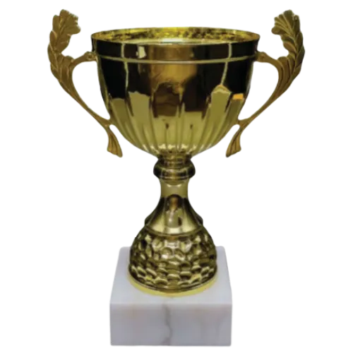 Victory Silver Metal Cup – Gold